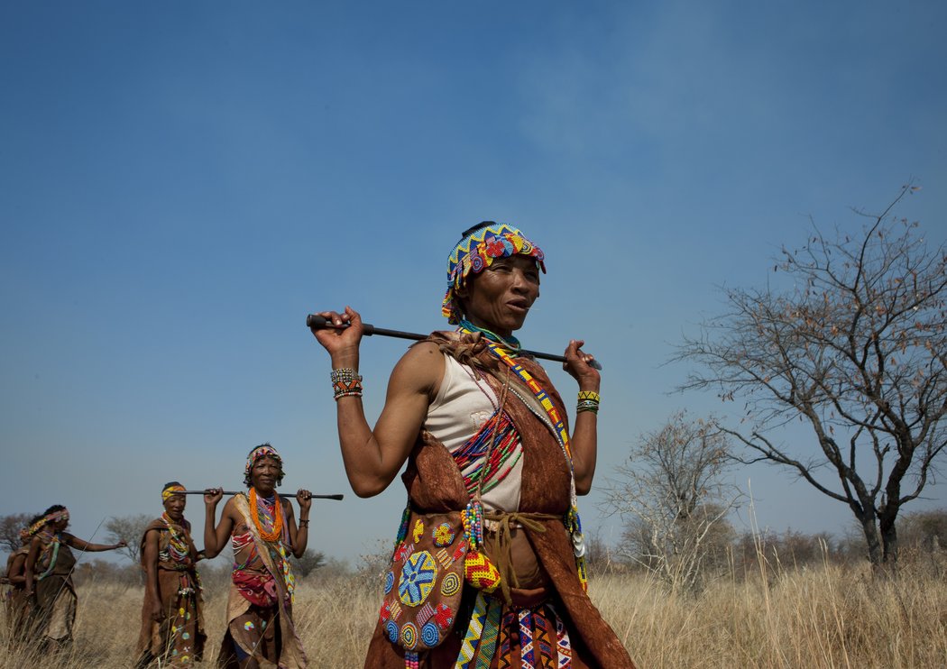 上百种土著人的基因构成为人类起源提供了新线索，生活在南部非洲的狩猎-采集部落科伊桑人也是其中之一。