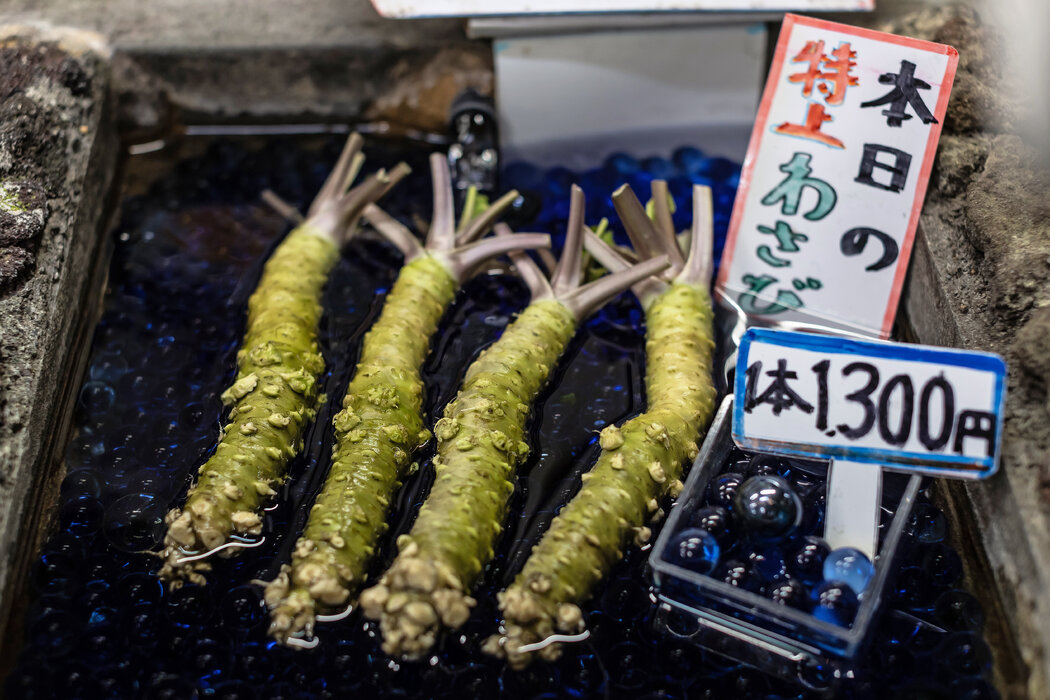 静冈的一家商店出售的山葵。在日本料理中，由磨碎的根茎制成的糊状物被用作辛辣调味品。