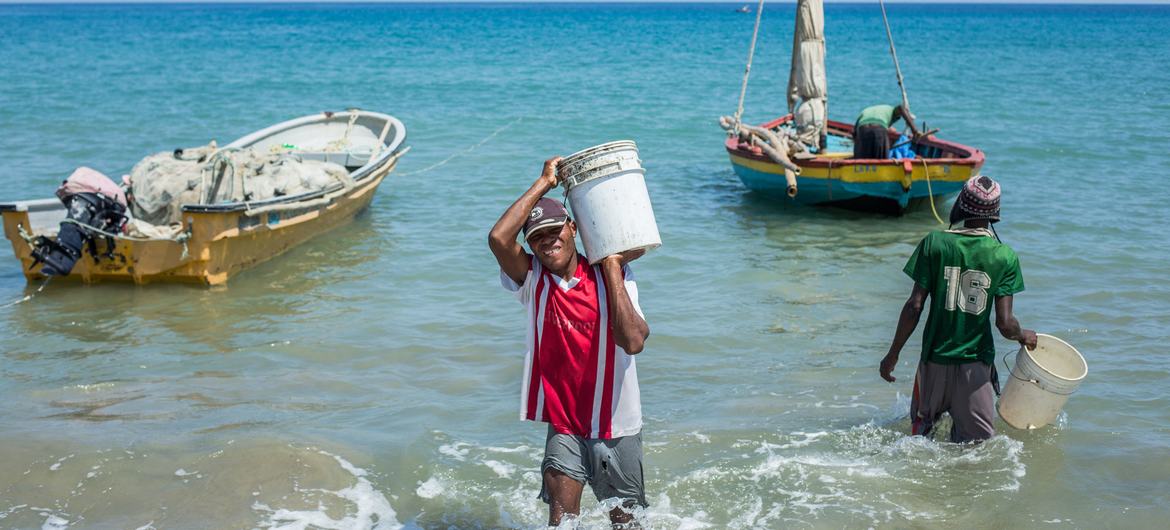 可持续渔业正在改善海地的生计。