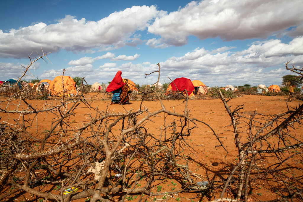 “我们埋了他，然后继续走”：在索马里逃离饥荒