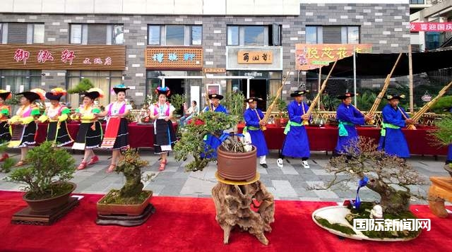 “美满中秋，欢乐国庆”——龙里县盆景艺术交流活动隆重举行